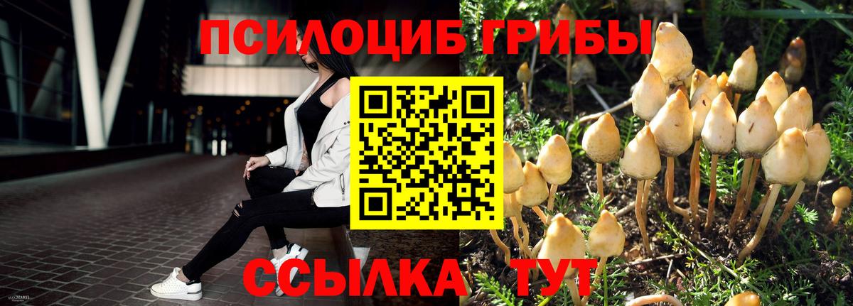Псилоцибиновые грибы Psilocybine cubensis  Вход с VPN  Новороссийск  Псилоцибиновые грибы Cubensis 