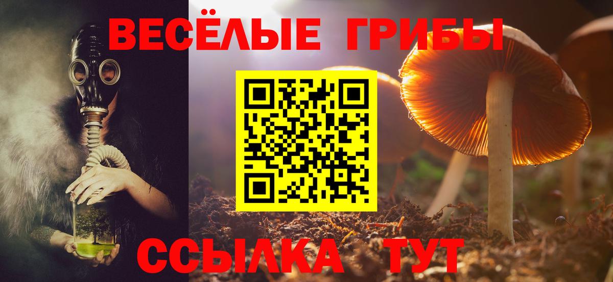 Галлюциногенные грибы Magic Shrooms Новороссийск